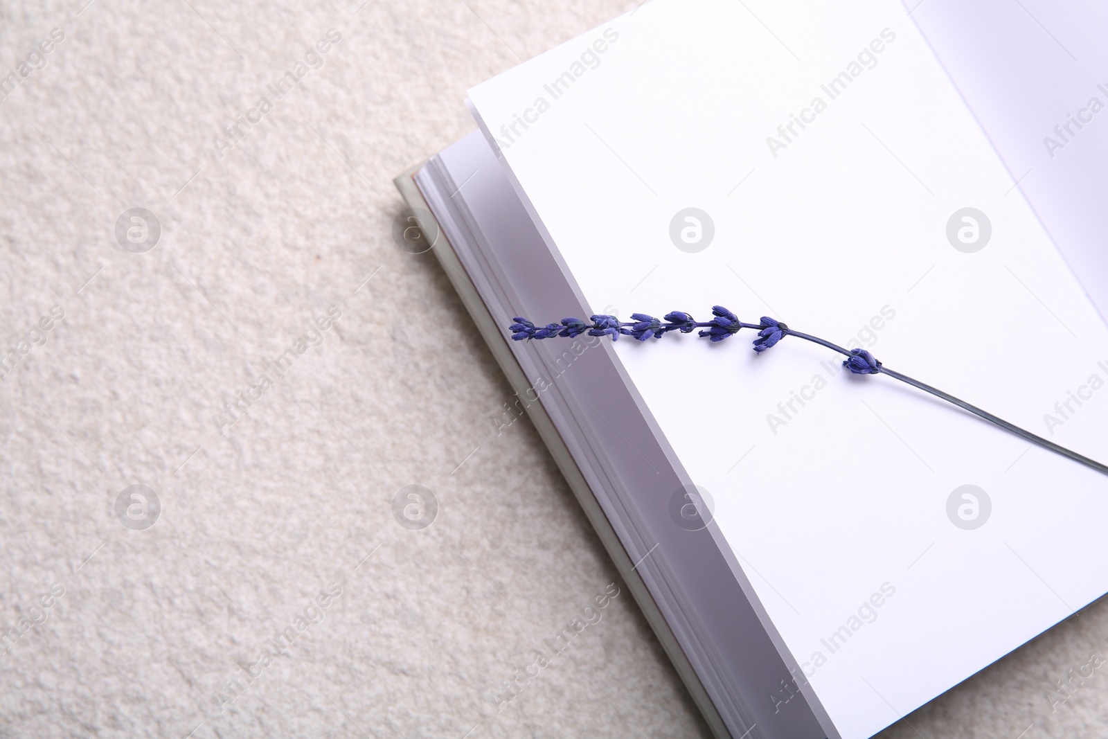 Photo of Preserved lavender flower and notebook on white textured table, space for text