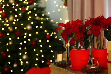 Photo of Potted poinsettias, burning candles and festive decor on dresser in room, space for text. Christmas traditional flower