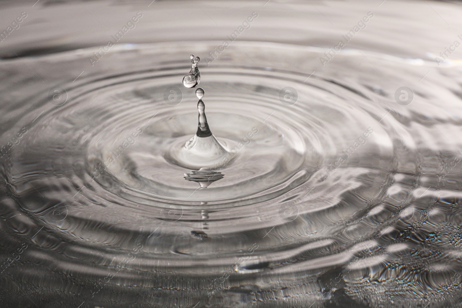 Photo of Drops falling into clear water on grey background, closeup