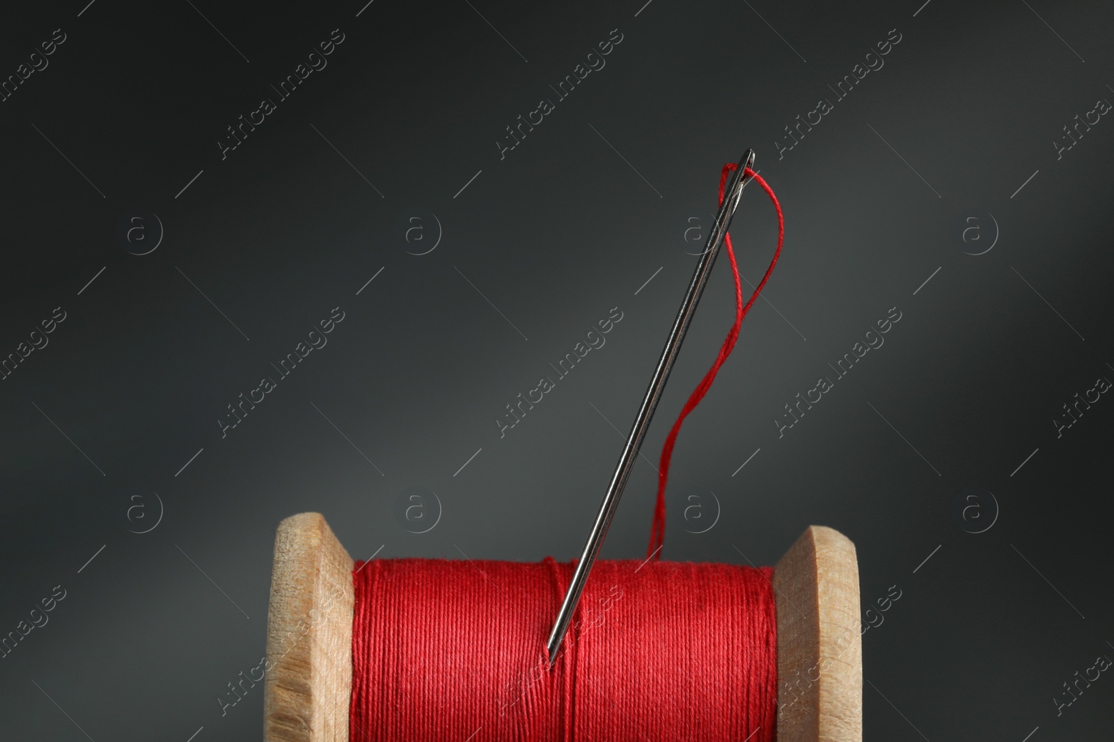 Photo of Red sewing thread with needle on dark background, closeup