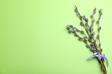 Beautiful blooming pussy willow branches on green background, top view. Space for text