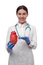 Photo of Doctor with stethoscope and model of heart on white background. Cardiology concept