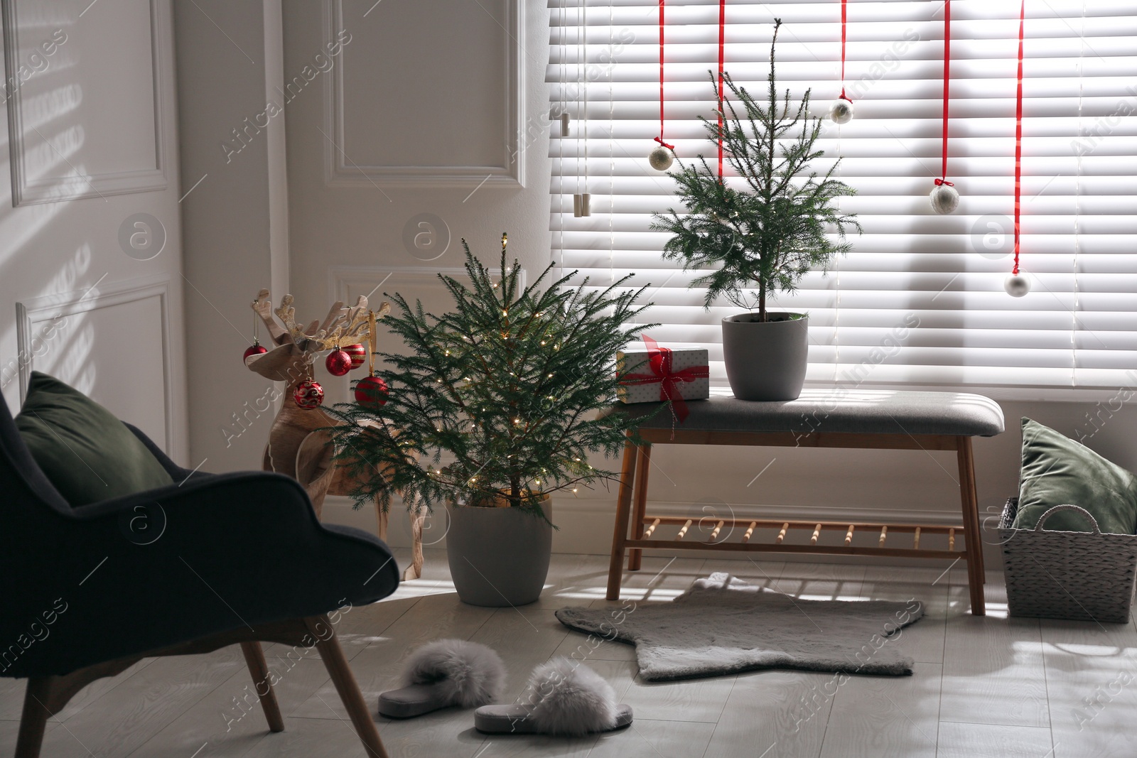 Photo of Beautiful room interior decorated with potted firs