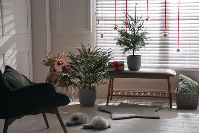 Beautiful room interior decorated with potted firs