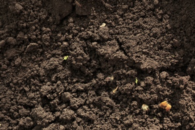 Photo of Textured ground surface as background, top view. Fertile soil for farming and gardening
