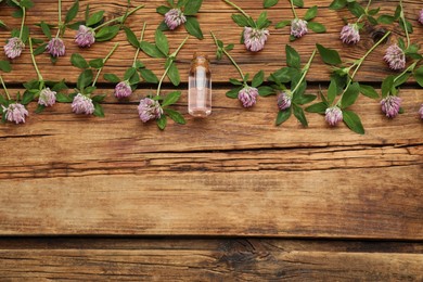 Beautiful clover flowers and bottle of essential oil on wooden table, flat lay. Space for text