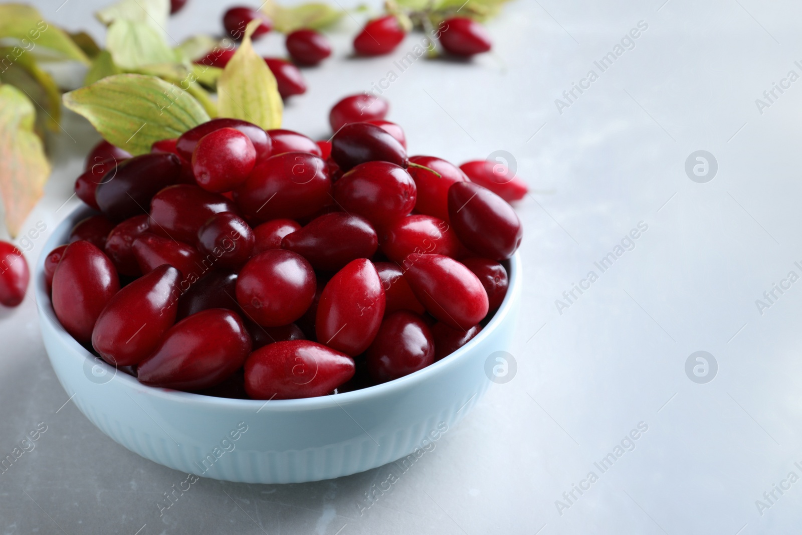 Photo of Fresh ripe dogwood berries in bowl on light grey table. Space for text