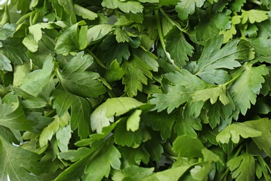 Photo of Fresh green organic parsley as background, closeup