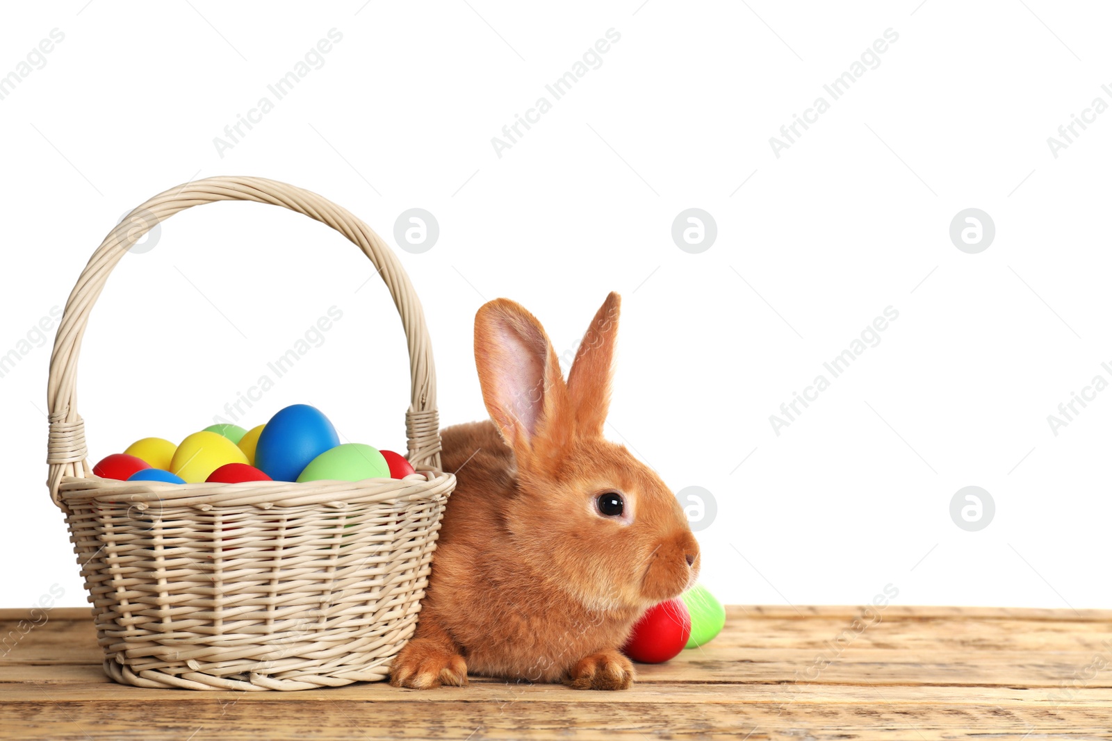 Photo of Adorable furry Easter bunny near wicker basket with dyed eggs on wooden table against white background