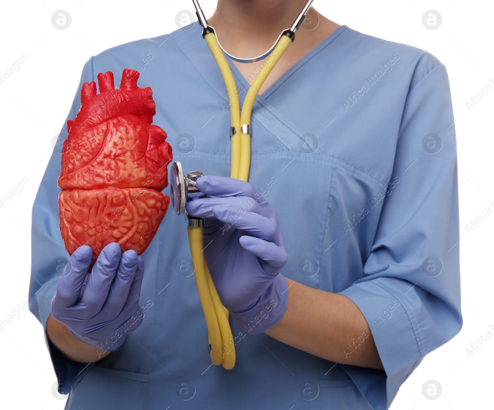 Photo of Doctor with stethoscope and model of heart on white background, closeup. Cardiology concept