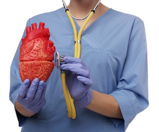 Doctor with stethoscope and model of heart on white background, closeup. Cardiology concept