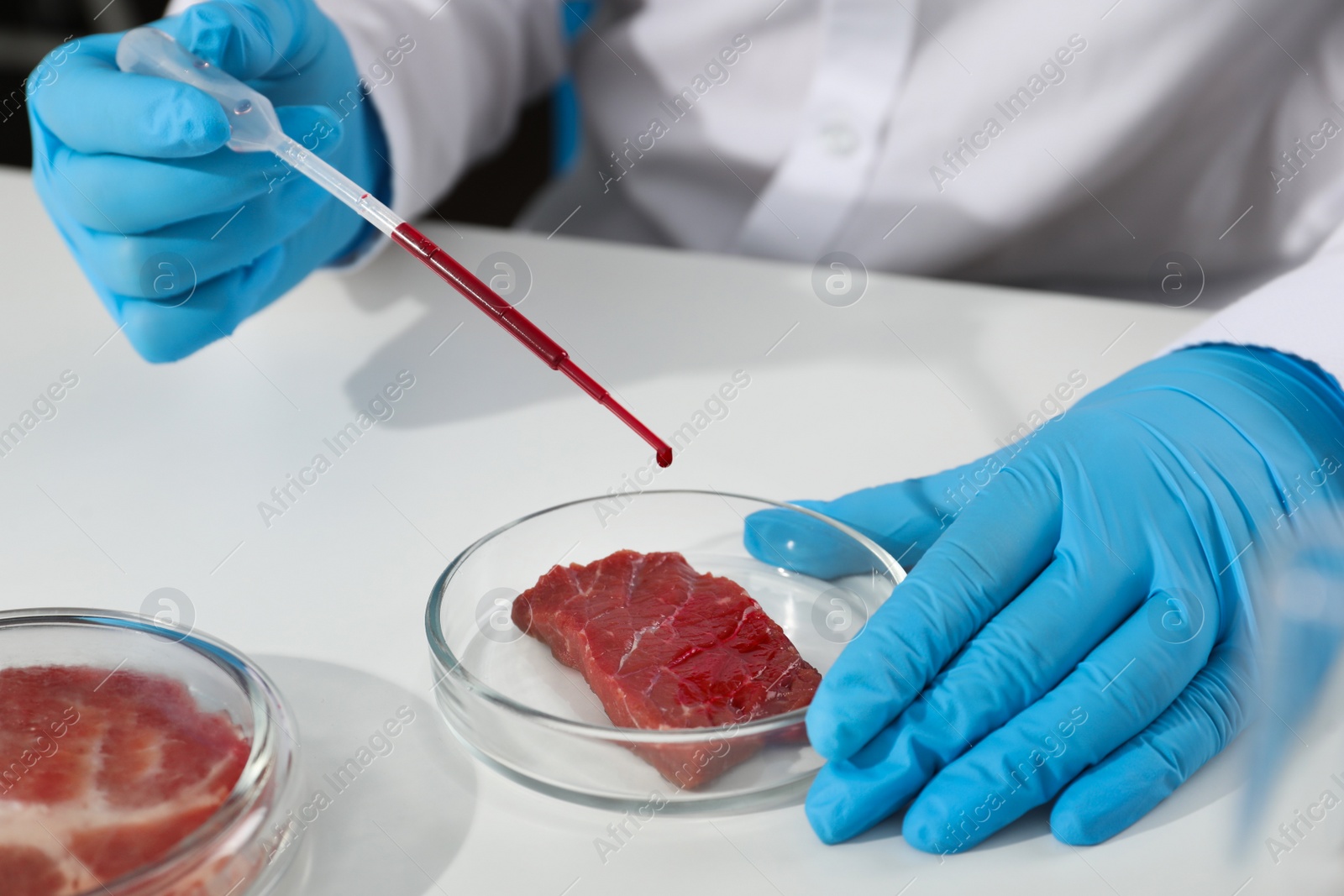 Photo of Scientist dripping red liquid onto cultured meat in laboratory, closeup