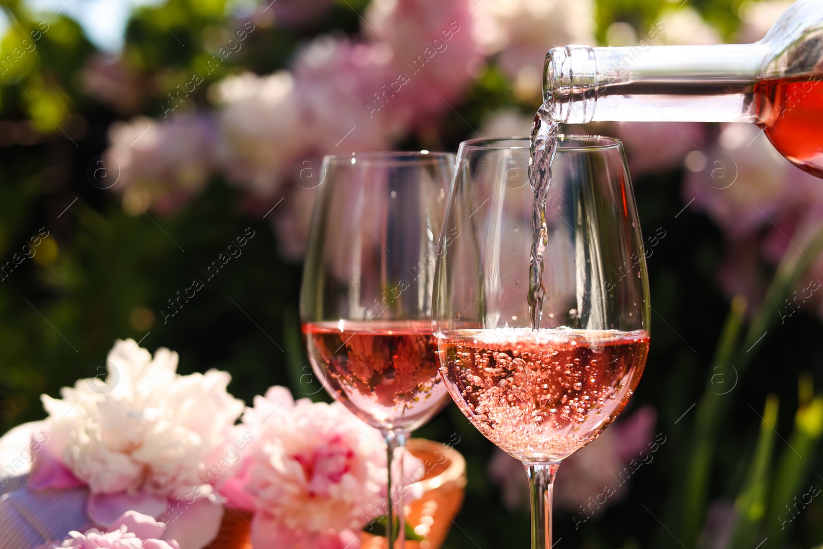 Photo of Pouring rose wine into glass in garden, closeup