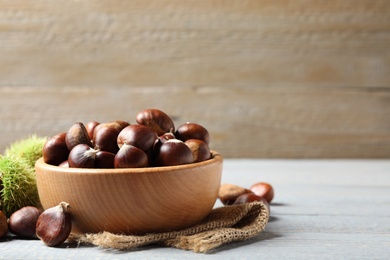Fresh sweet edible chestnuts on grey wooden table. Space for text