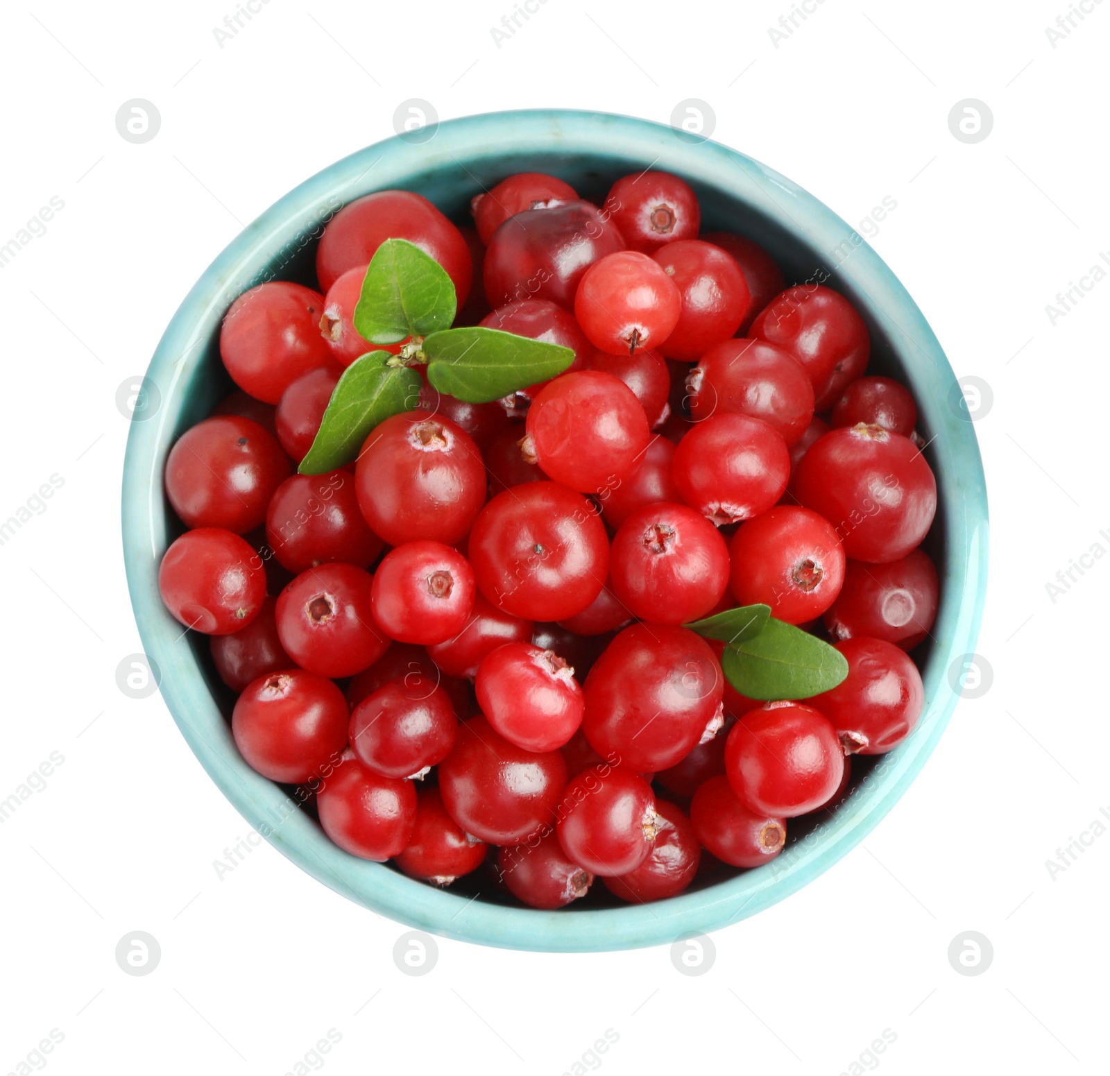 Photo of Bowl of fresh ripe cranberries with leaves isolated on white, top view