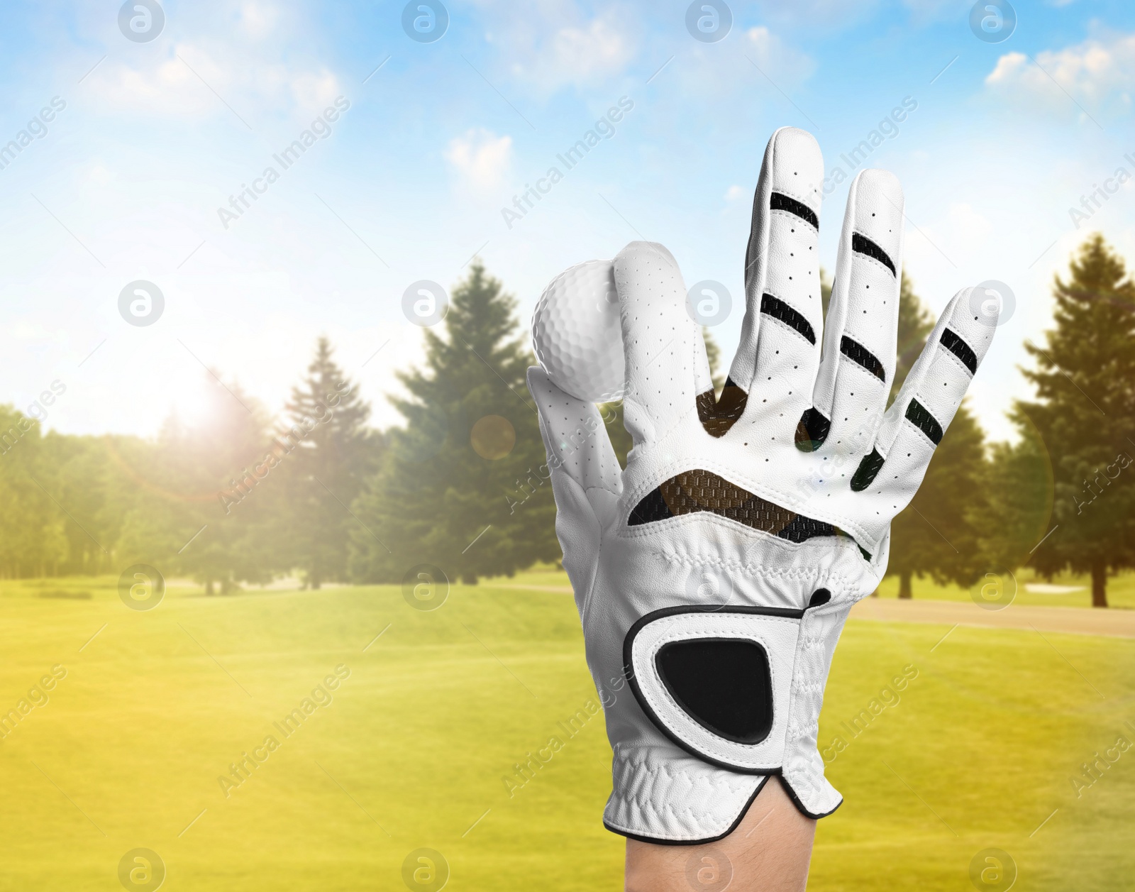 Image of Player holding golf ball in park on sunny day, closeup. Space for design