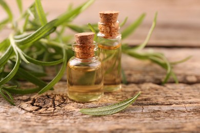 Photo of Aromatic essential oils in bottles and rosemary on wooden table, closeup