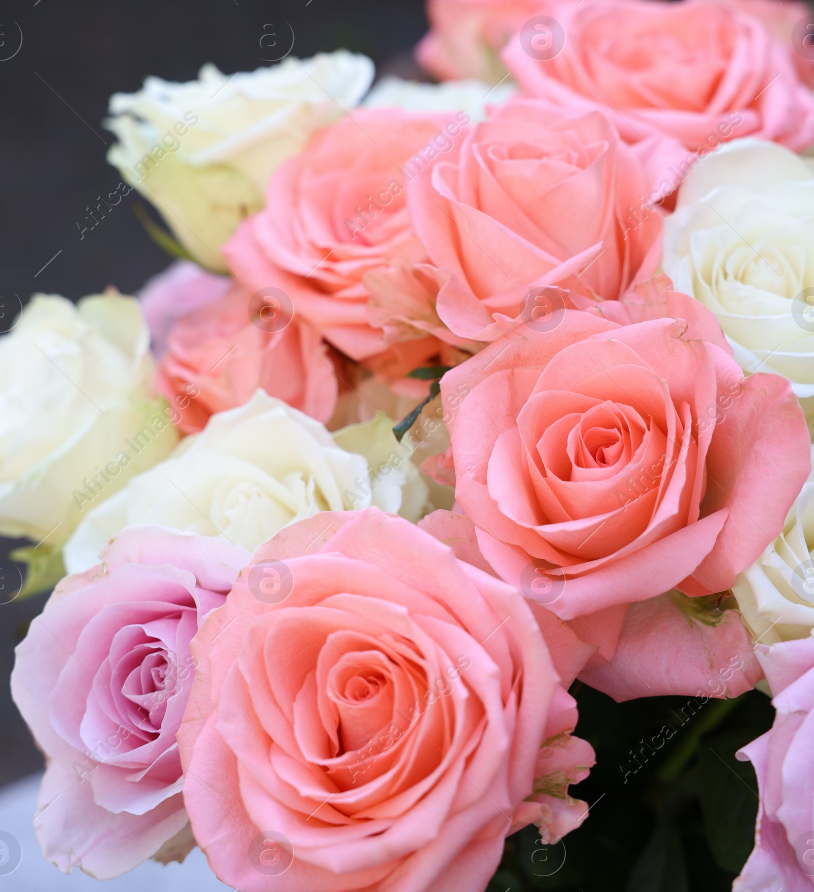 Photo of Beautiful bouquet of aromatic roses outdoors, closeup