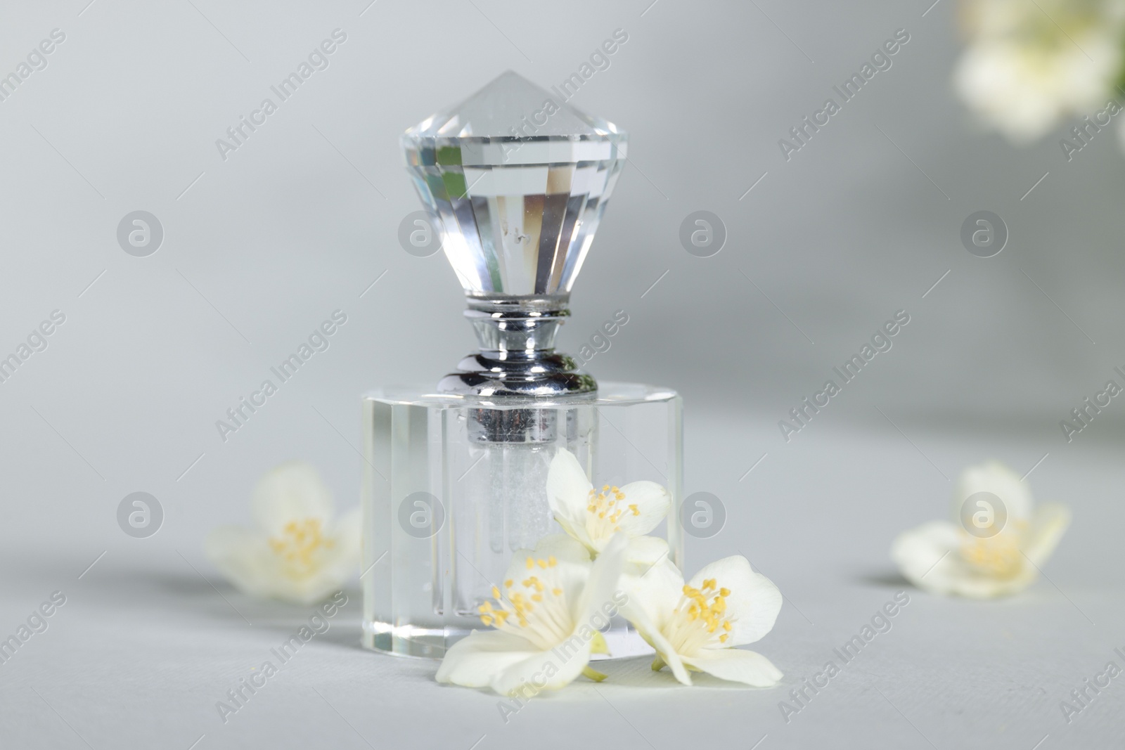 Photo of Aromatic perfume in bottle and beautiful jasmine flowers on grey background, closeup