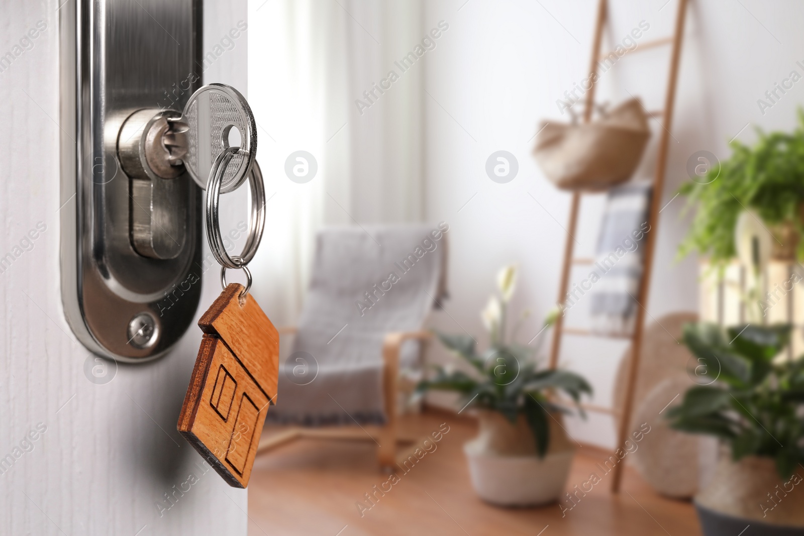 Image of Closeup view of door with key open in room