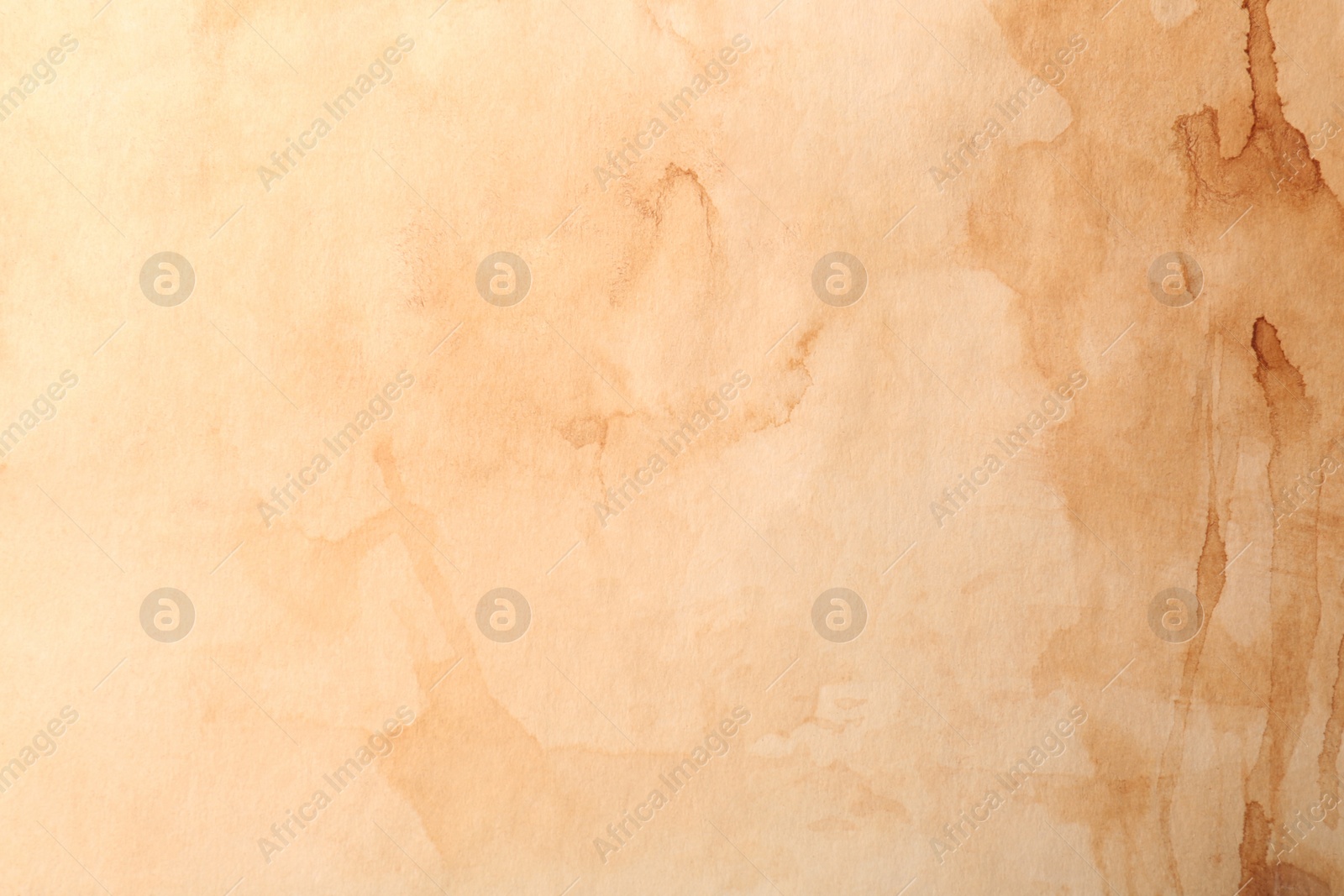 Photo of Sheet of old parchment paper as background, top view