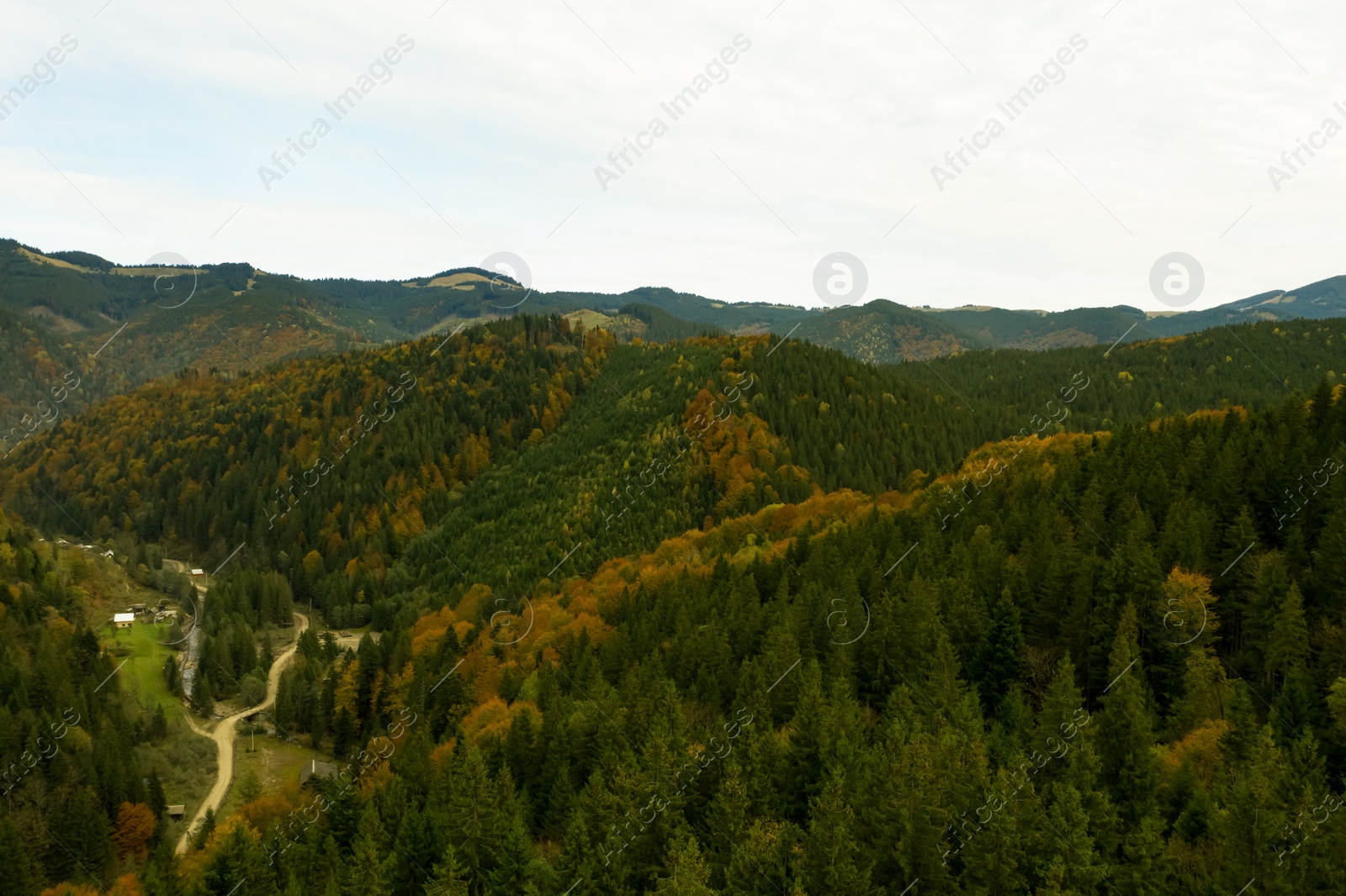 Image of Aerial view of beautiful mountain forest on autumn day