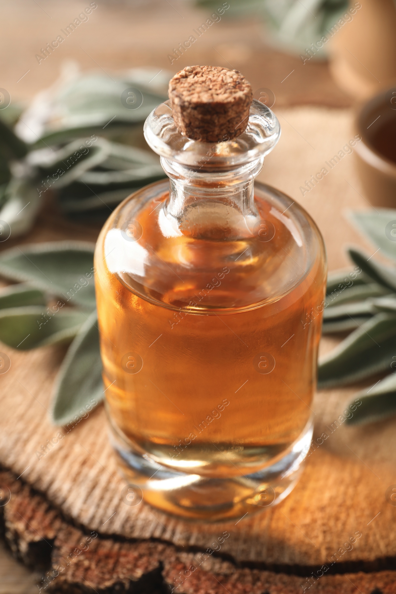 Photo of Bottle of essential sage oil and twigs on wooden table, closeup
