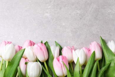 Photo of Beautiful pink spring tulips on light grey background, flat lay. Space for text