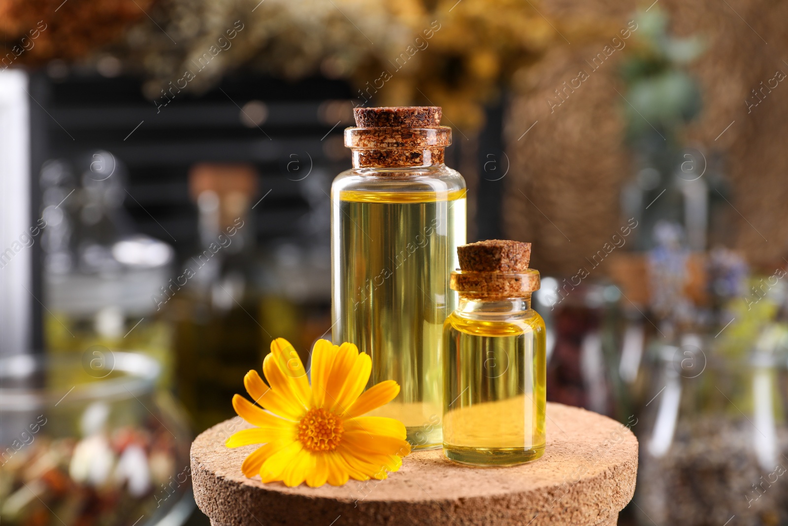 Photo of Bottles with herbal essential oils and calendula flower on blurred background