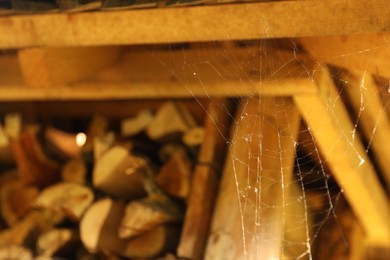 Cobweb on wooden building outdoors, closeup. Space for text