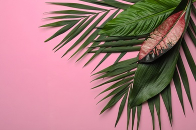 Photo of Flat lay composition with tropical leaves and space for text on color background