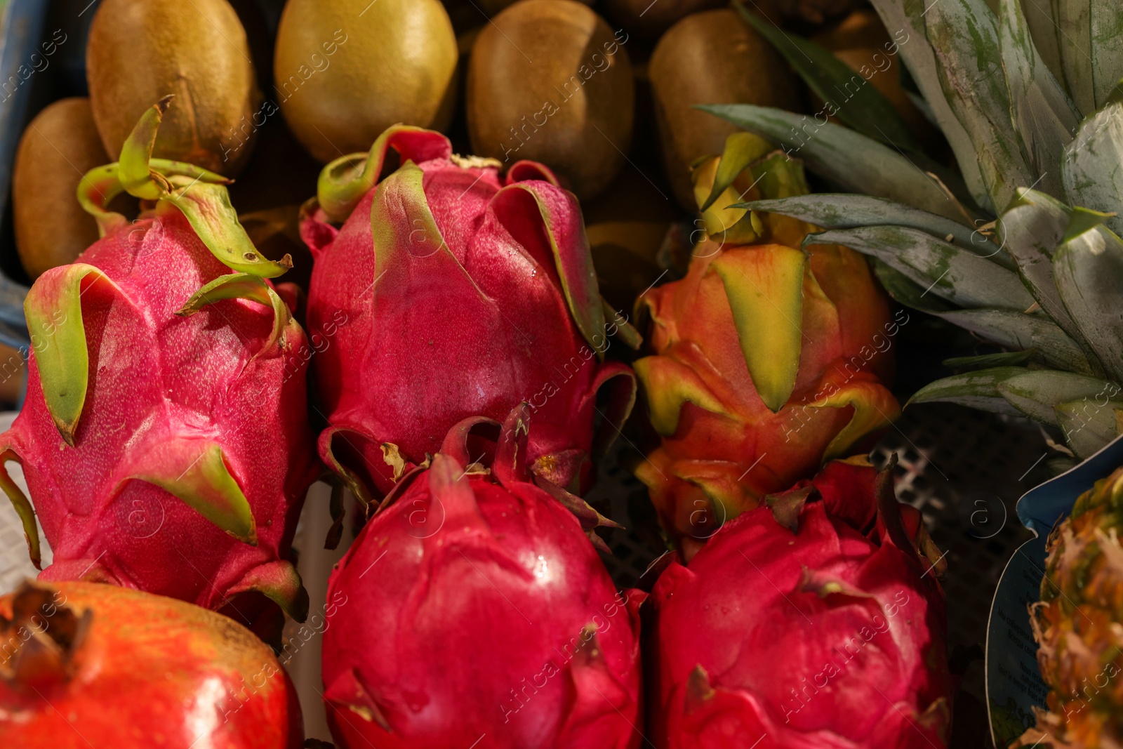 Photo of Many different fresh fruits on counter at market, closeup