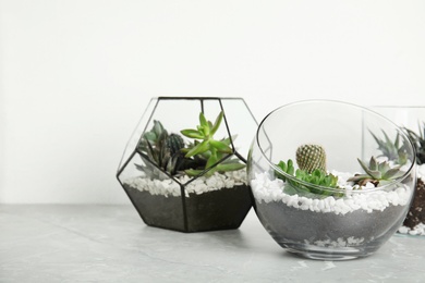 Glass florariums with different succulents on table against white background, space for text