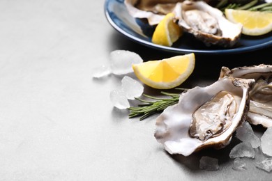 Photo of Fresh oysters with lemon, rosemary and ice on grey table, closeup. Space for text
