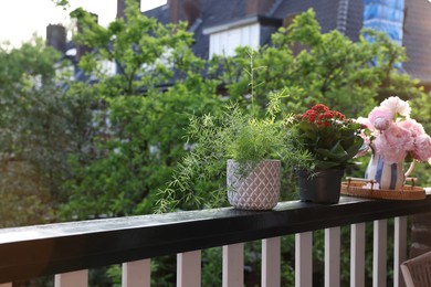 Photo of Balcony garden. Different plants growing on railings outdoors