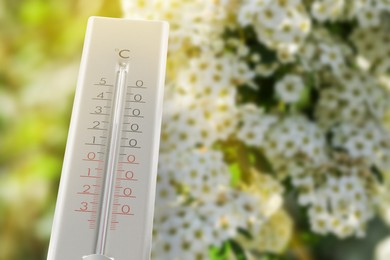 Image of Thermometer and blossoming spiraea shrub outdoors. Temperature in spring