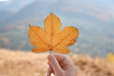 Photo of Woman holding beautiful leaf outdoors on autumn day, closeup