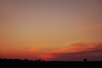 Beautiful view of field at sunrise. Early morning landscape