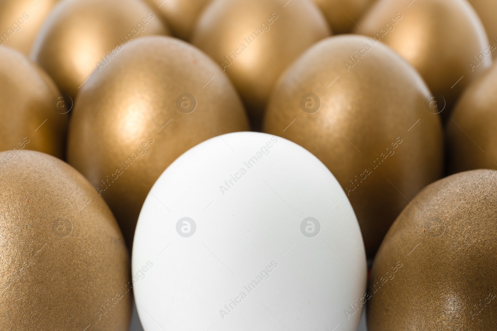 Photo of Golden eggs with different one as background, closeup