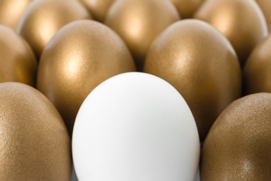 Photo of Golden eggs with different one as background, closeup