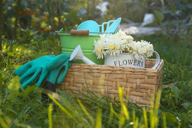Photo of Basket with watering can, gardening tools and rubber gloves on green grass outdoors