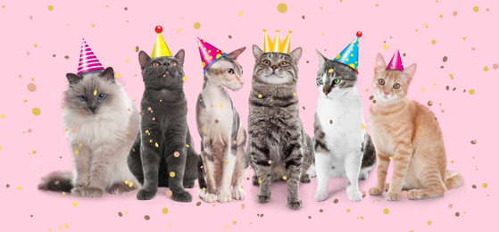 Image of Adorable cats with party hats on pink background. Banner design 