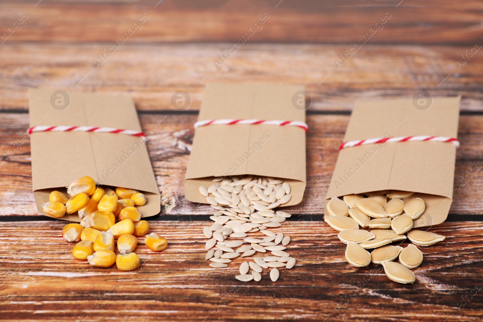 Photo of Many different vegetable seeds on wooden table, closeup