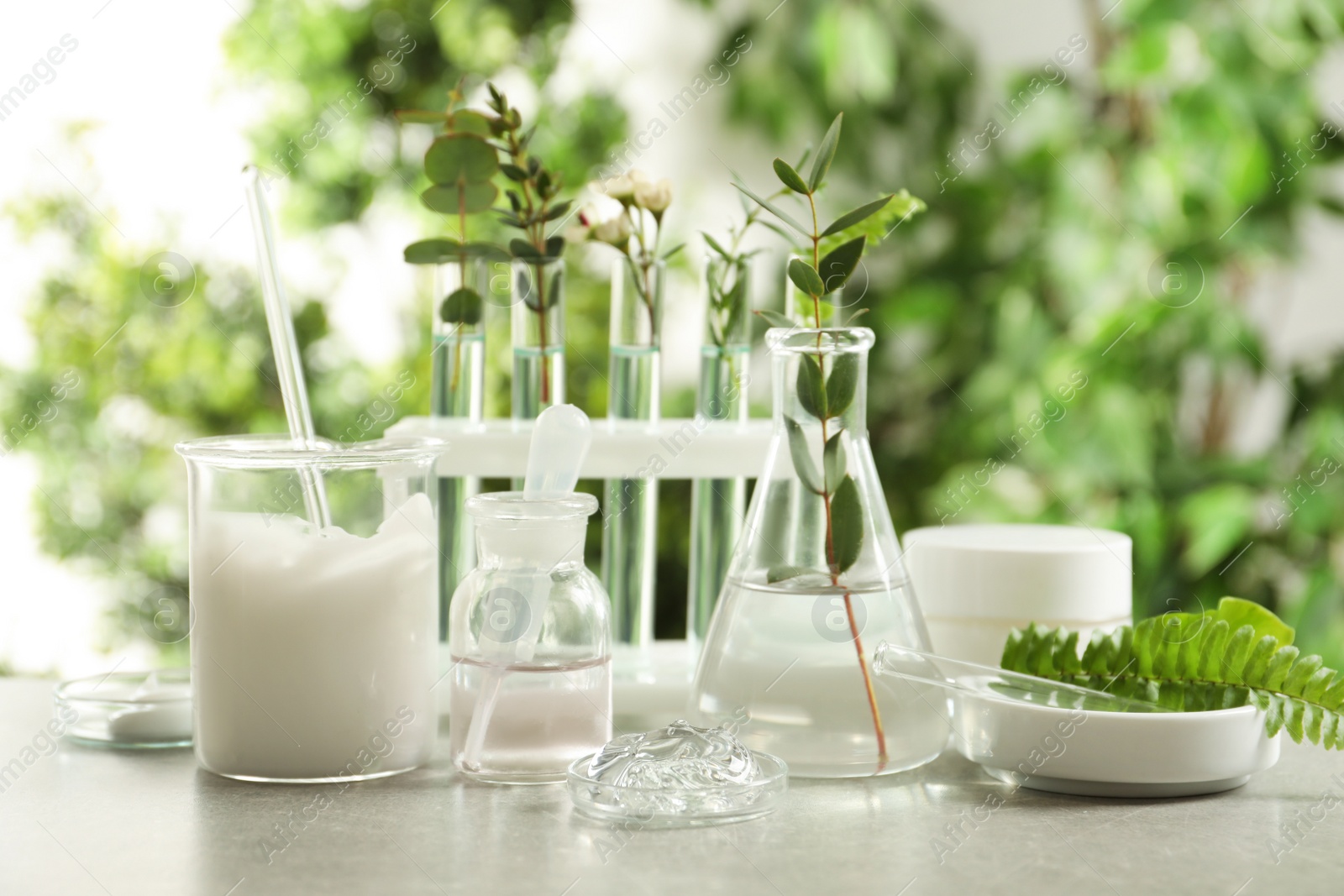 Photo of Natural ingredients for cosmetic products and laboratory glassware on grey table against blurred green background
