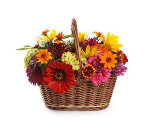 Beautiful wild flowers in wicker basket isolated on white