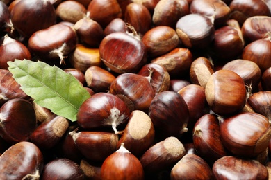 Photo of Fresh edible sweet chestnuts as background, closeup