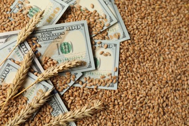 Photo of Dollar banknotes and wheat ears on grains, top view. Agricultural business