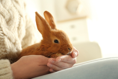 Photo of Young woman with adorable rabbit indoors, closeup. Lovely pet