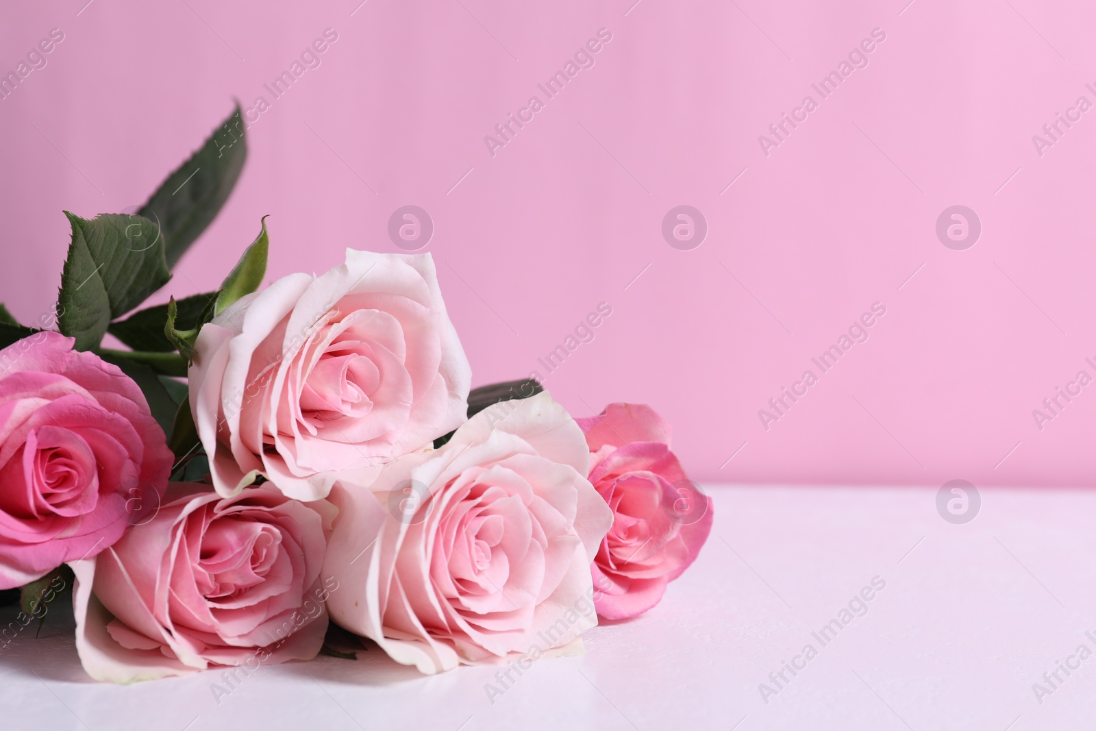 Photo of Beautiful roses on light table against pink background, closeup. Space for text