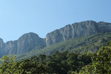 Picturesque view of high mountains and trees